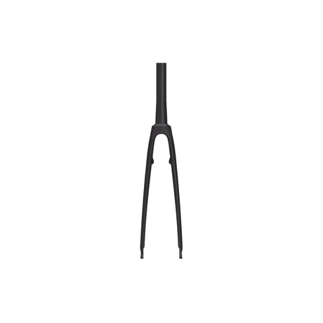 Argon 18 E - 117 Tri Disc Brake Fork Matte Black