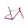Mondraker Arid Carbon Frameset Fangsia