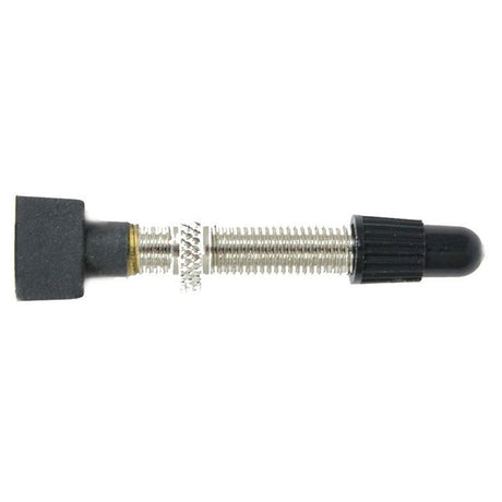 Ritchey Tubeless Valve