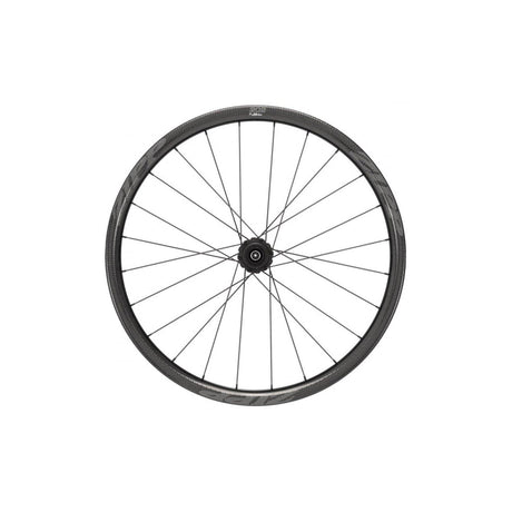 Zipp 202 NSW Disc Brake Tubeless Rear Wheel XDR Driver